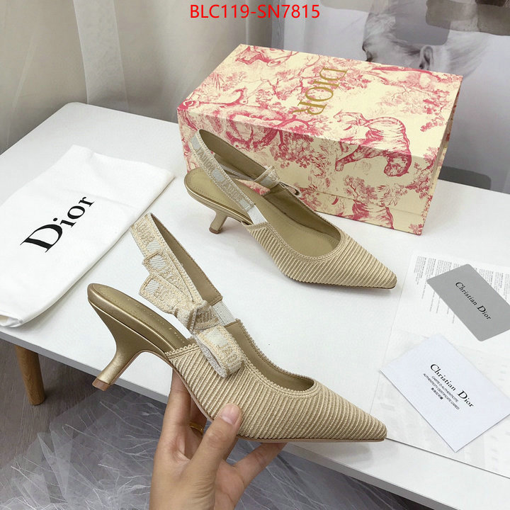 Women Shoes-Dior,shop cheap high quality 1:1 replica , ID: SN7815,$: 119USD