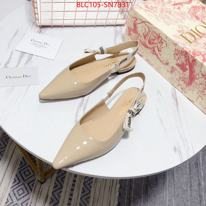 Women Shoes-Dior,aaaaa customize , ID: SN7831,$: 105USD