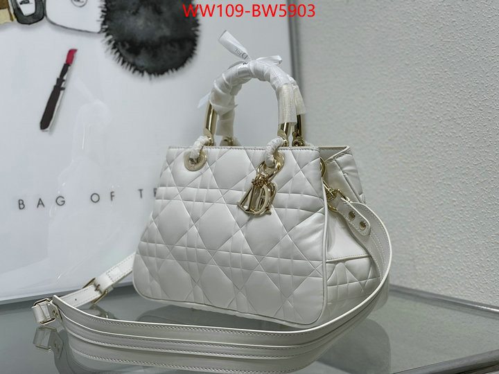 Dior Bags(4A)-Other Style-,ID: BW5903,$: 109USD