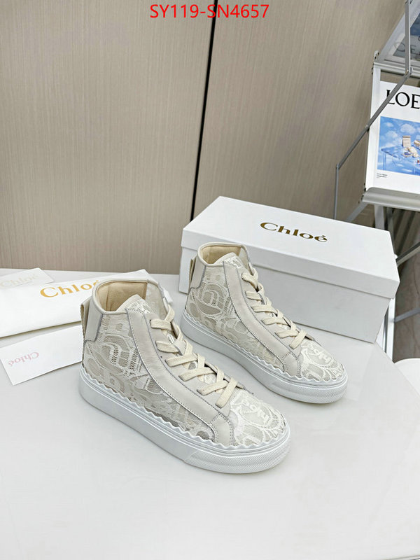 Women Shoes-Chloe,designer fake , ID: SN4657,$: 119USD