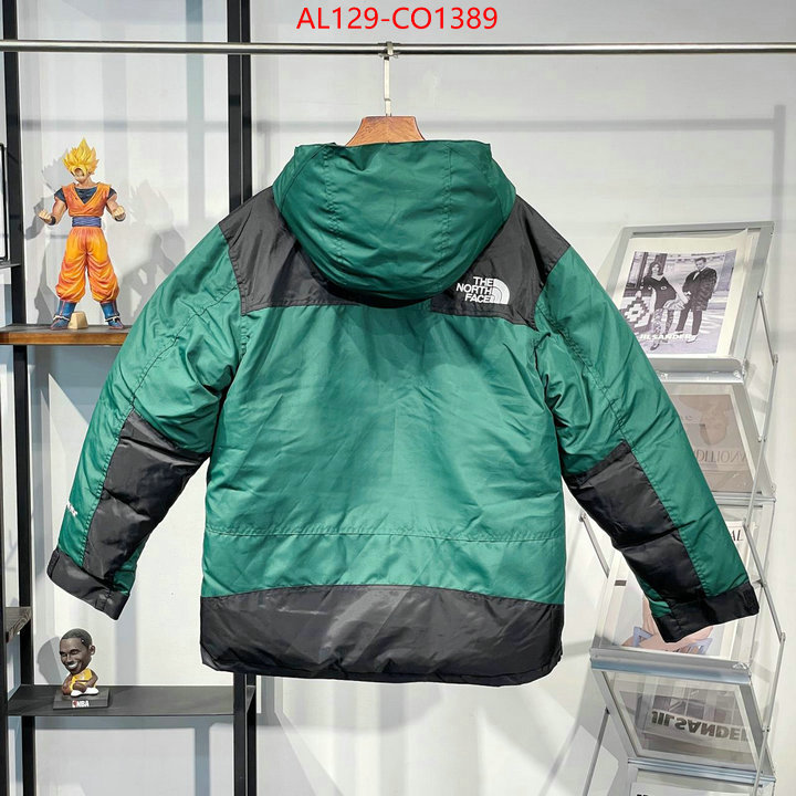 Down jacket Men-The North Face,wholesale sale , ID: CO1389,$: 175USD