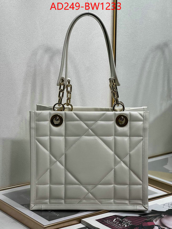 Dior Bags(TOP)-Other Style-,ID: BW1233,$: 249USD