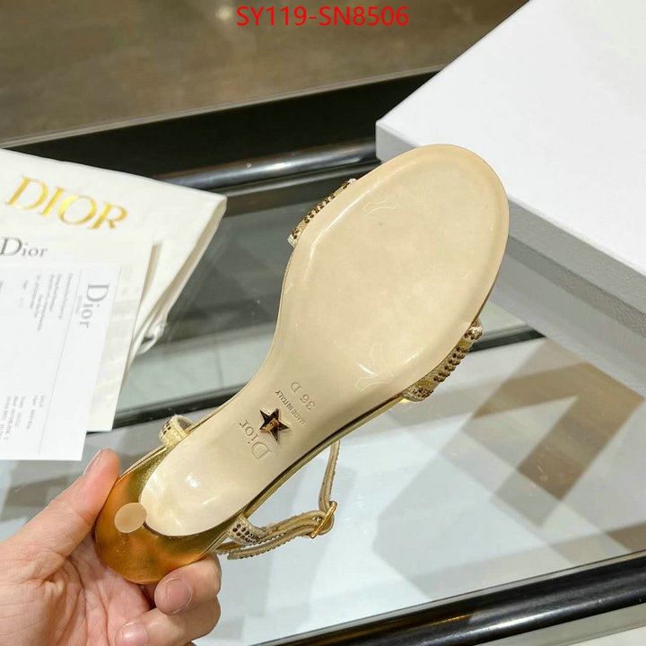 Women Shoes-Dior,knockoff , ID: SN8506,$: 119USD