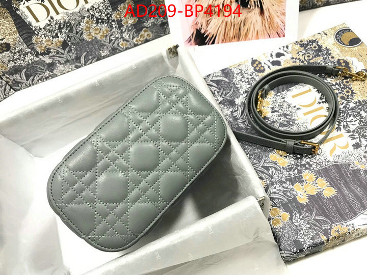 Dior Bags(TOP)-Other Style-,ID: BP4194,$: 209USD