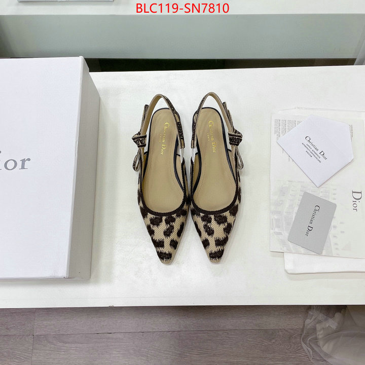 Women Shoes-Dior,7 star , ID: SN7810,$: 119USD