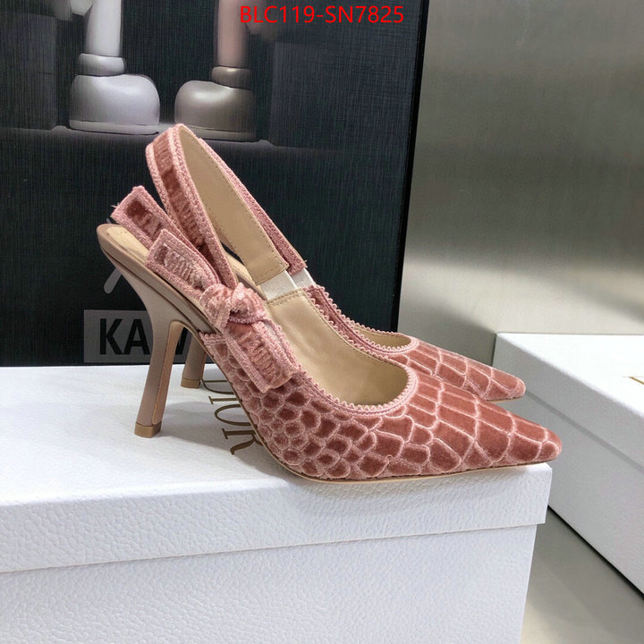 Women Shoes-Dior,buy 1:1 , ID: SN7825,$: 119USD