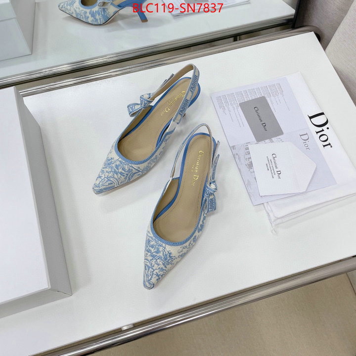 Women Shoes-Dior,replicas , ID: SN7837,$: 119USD