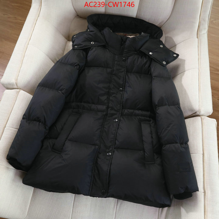 Down jacket Women-Burberry,where to buy , ID: CW1746,$: 239USD