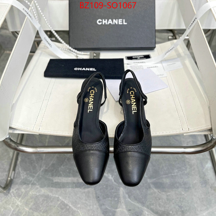 Women Shoes-Chanel,brand designer replica , ID: SO1067,$: 109USD