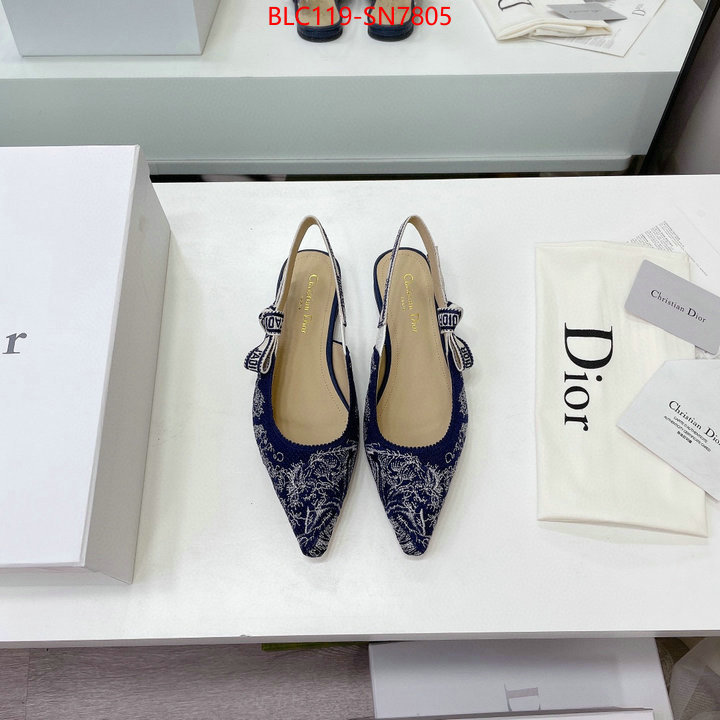 Women Shoes-Dior,the top ultimate knockoff , ID: SN7805,$: 119USD