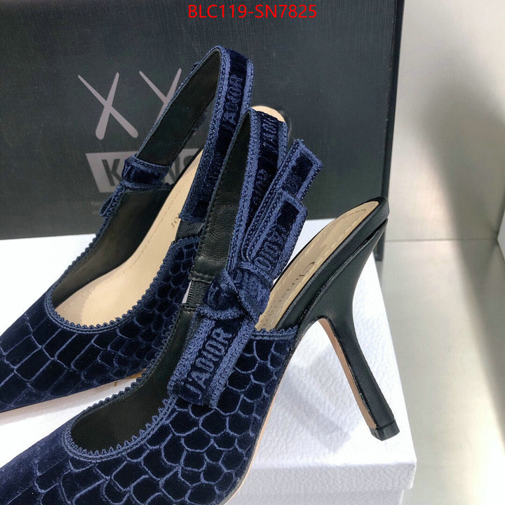 Women Shoes-Dior,buy 1:1 , ID: SN7825,$: 119USD