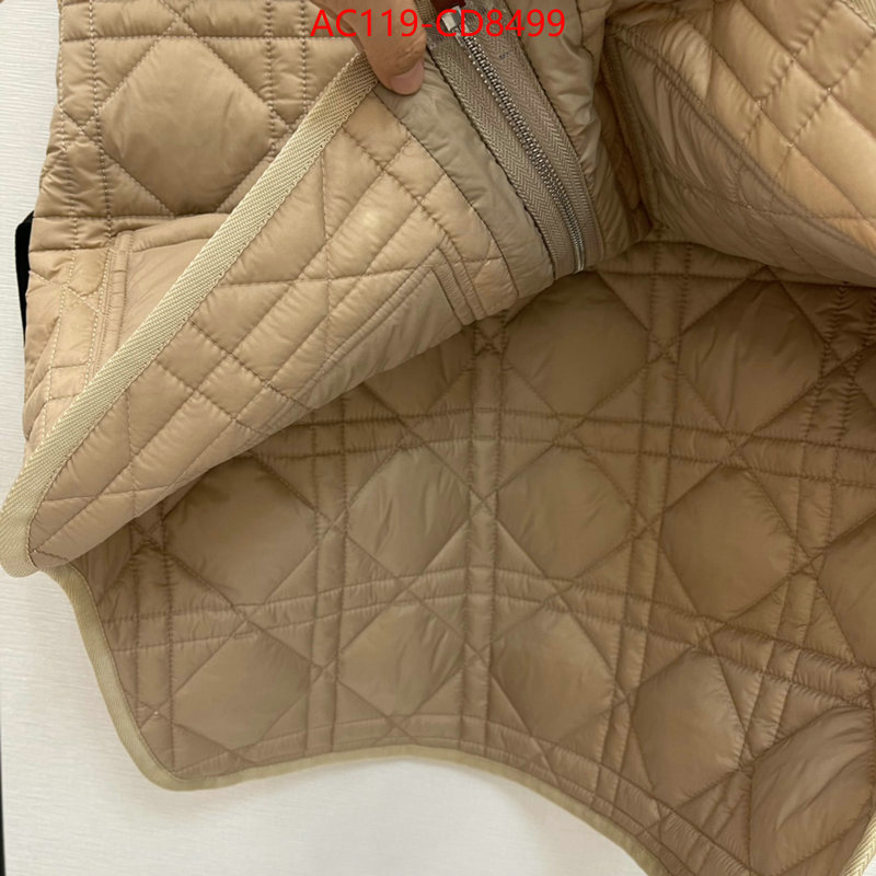 Down jacket Women-Dior,china sale , ID: CD8499,$: 119USD