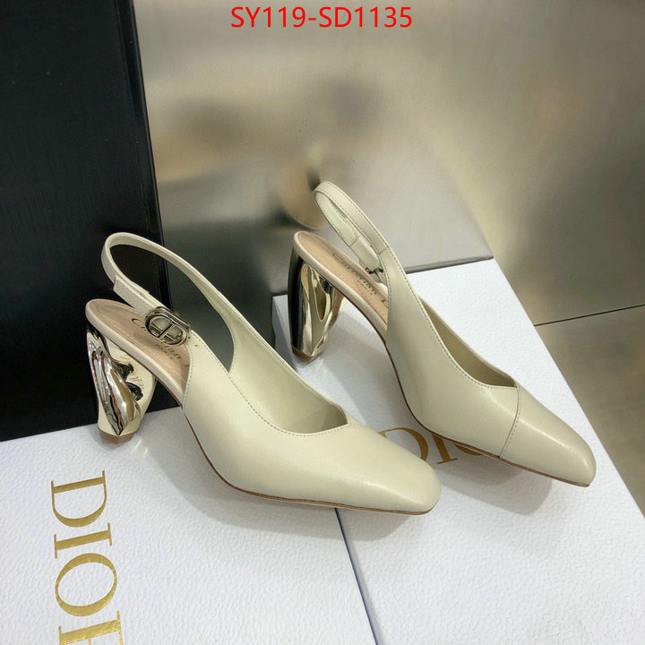 Women Shoes-Dior,customize the best replica , ID: SD1135,$: 119USD