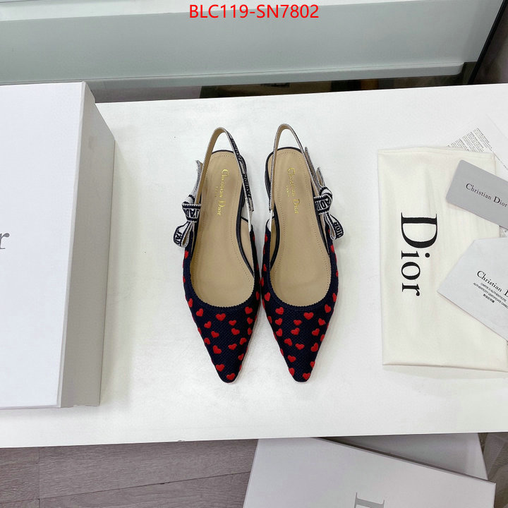 Women Shoes-Dior,high end designer , ID: SN7802,$: 119USD