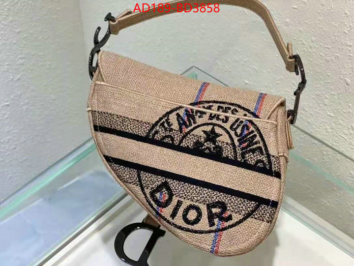 Dior Bags(TOP)-Saddle-,ID: BD3858,$: 189USD