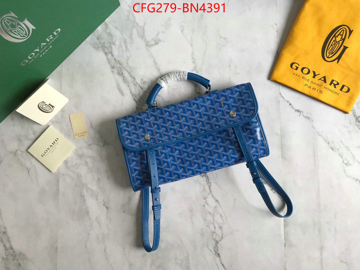 Goyard Bags(TOP)-Backpack-,ID: BN4391,$: 279USD