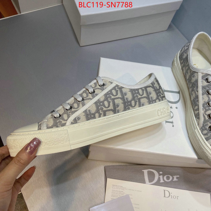 Women Shoes-Dior,buy cheap , ID: SN7788,$: 119USD