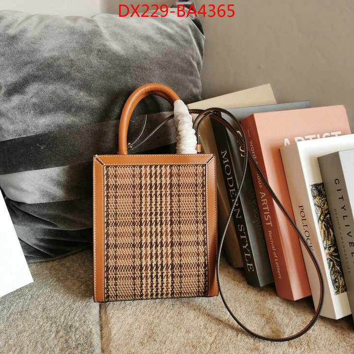 CELINE Bags(TOP)-Cabas Series,is it ok to buy replica ,ID: BA4365,$: 229USD