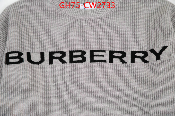 Clothing-Burberry,where can i buy , ID: CW2733,$: 75USD