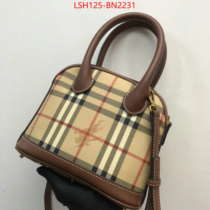 Burberry Bags(TOP)-Diagonal-,top designer replica ,ID: BN2231,$: 125USD