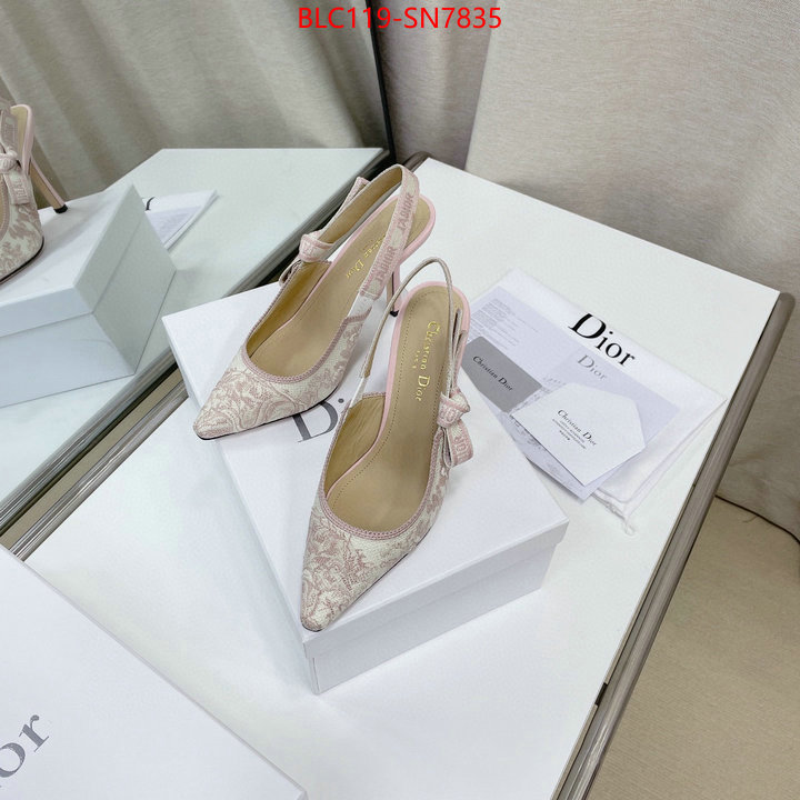 Women Shoes-Dior,styles & where to buy , ID: SN7835,$: 119USD