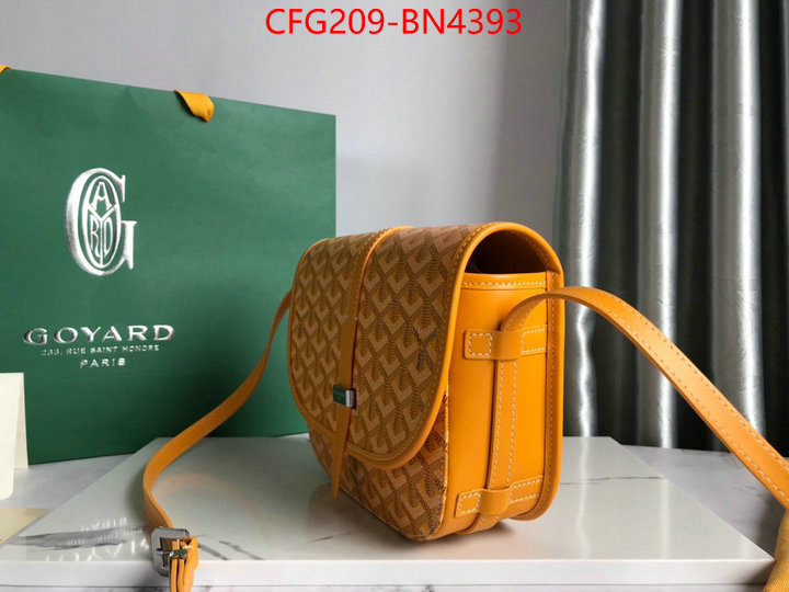 Goyard Bags(TOP)-Diagonal-,ID: BN4393,$: 209USD