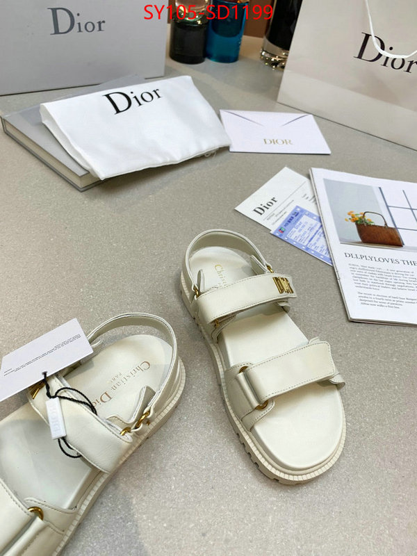 Women Shoes-Dior,online from china designer , ID: SD1199,$: 105USD