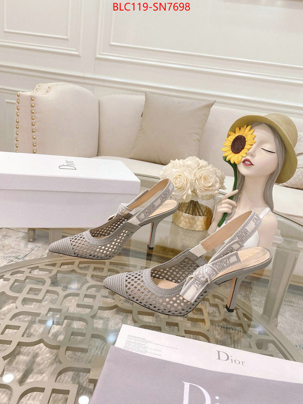 Women Shoes-Dior,how to buy replcia , ID: SN7698,$: 119USD