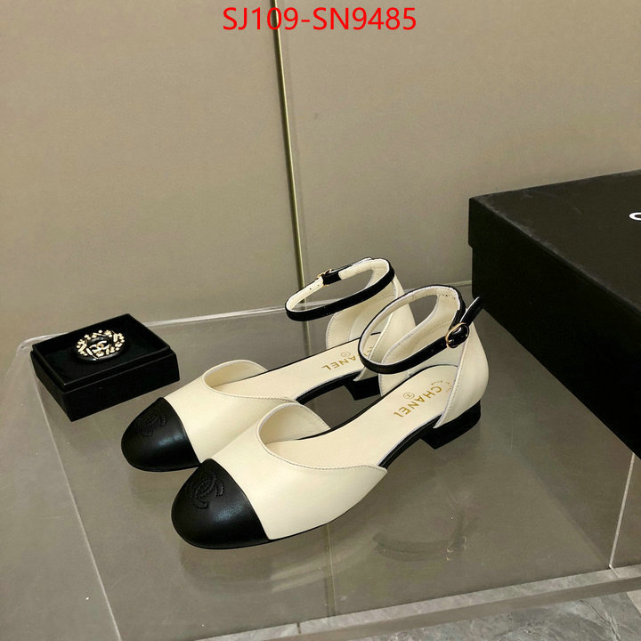 Women Shoes-Chanel,perfect replica , ID: SN9485,$: 109USD