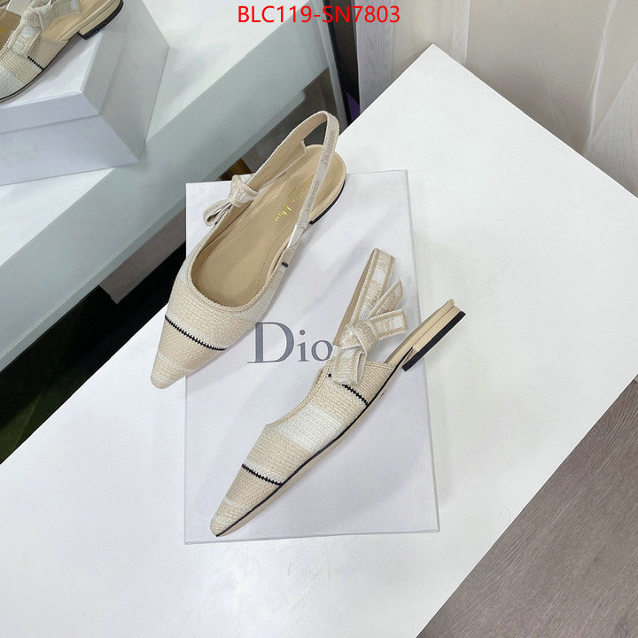 Women Shoes-Dior,replica designer , ID: SN7803,$: 119USD