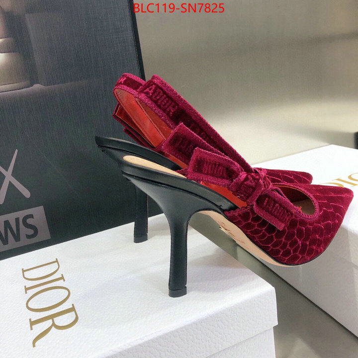 Women Shoes-Dior,buy 1:1 , ID: SN7825,$: 119USD