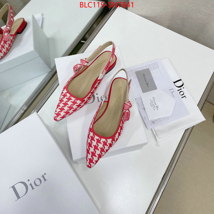 Women Shoes-Dior,outlet 1:1 replica , ID: SN7841,$: 119USD