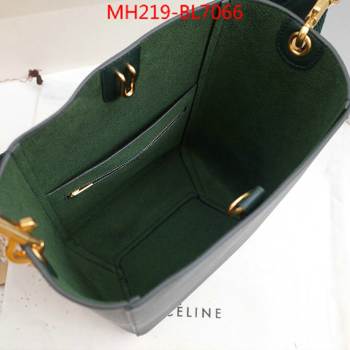 CELINE Bags(TOP)-Diagonal,highest quality replica ,ID: BL7066,$: 219USD