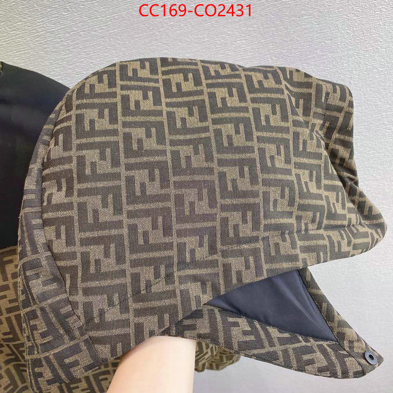 Down jacket Women-Fendi,where can i buy the best quality , ID: CO2431,$: 169USD