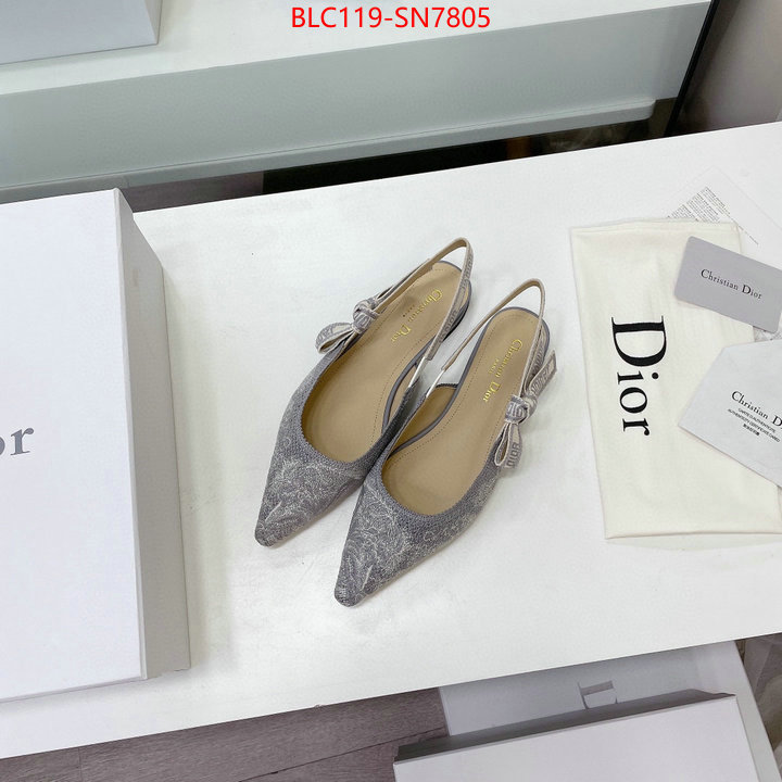 Women Shoes-Dior,the top ultimate knockoff , ID: SN7805,$: 119USD