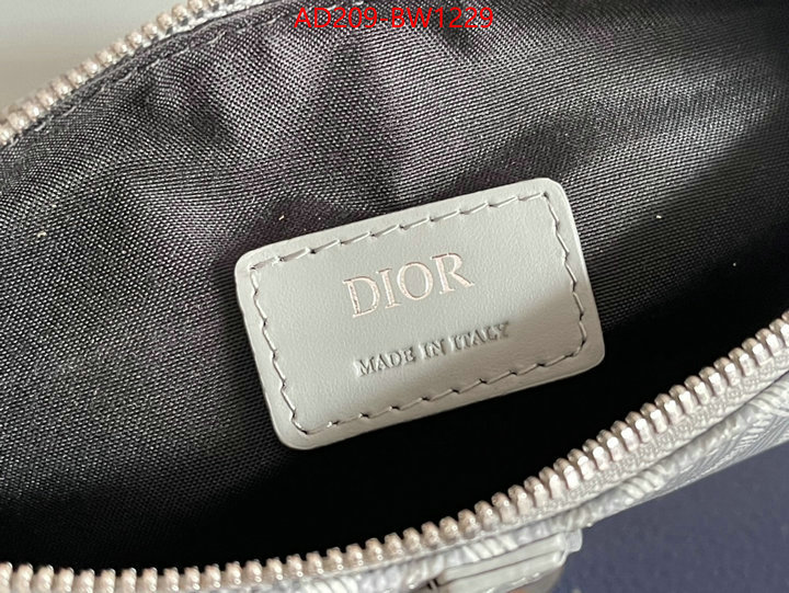 Dior Bags(TOP)-Saddle-,ID: BW1229,$: 209USD
