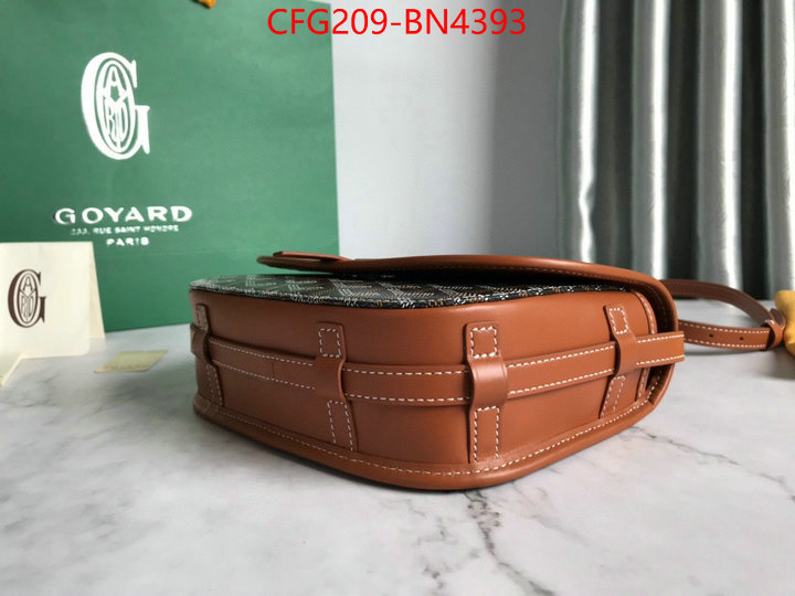 Goyard Bags(TOP)-Diagonal-,ID: BN4393,$: 209USD