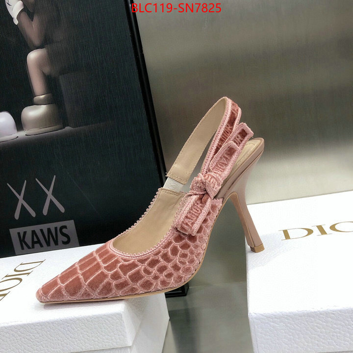 Women Shoes-Dior,buy 1:1 , ID: SN7825,$: 119USD