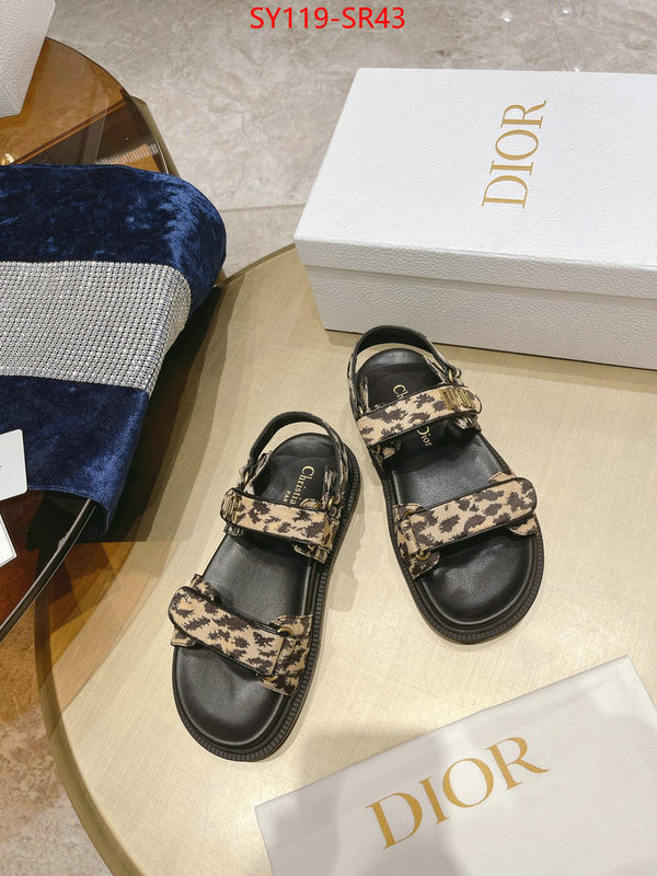 Women Shoes-Dior,is it ok to buy replica , ID: SR43,$: 119USD