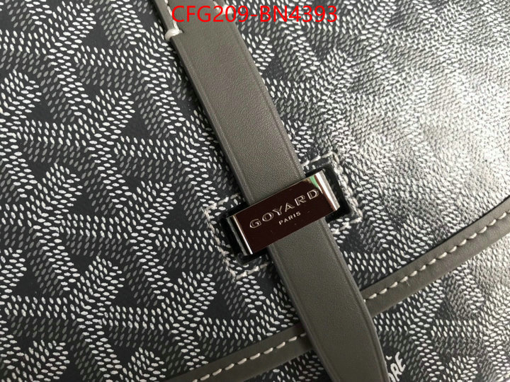 Goyard Bags(TOP)-Diagonal-,ID: BN4393,$: 209USD