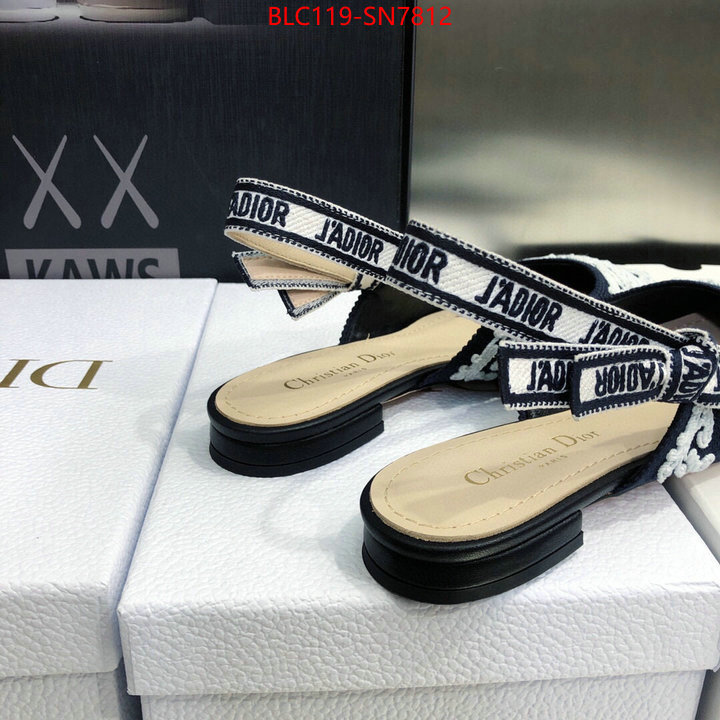 Women Shoes-Dior,buy replica , ID: SN7812,$: 119USD