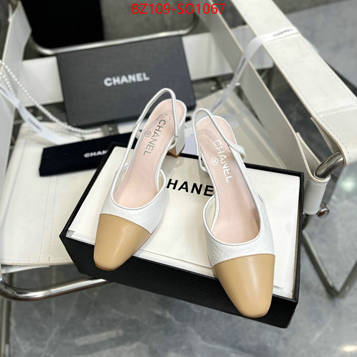 Women Shoes-Chanel,brand designer replica , ID: SO1067,$: 109USD