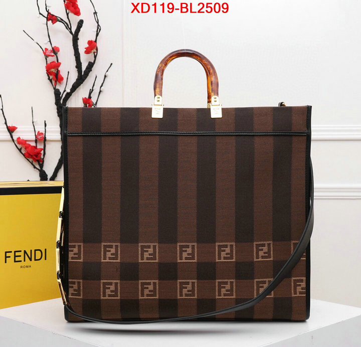 Fendi Bags(4A)-Handbag-,is it illegal to buy dupe ,ID: BL2509,$: 119USD