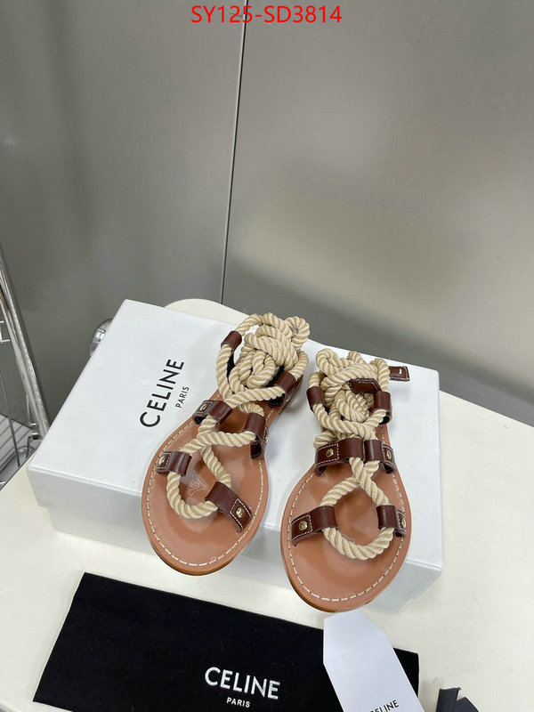 Women Shoes-CELINE,mirror quality , ID: SD3814,$: 125USD