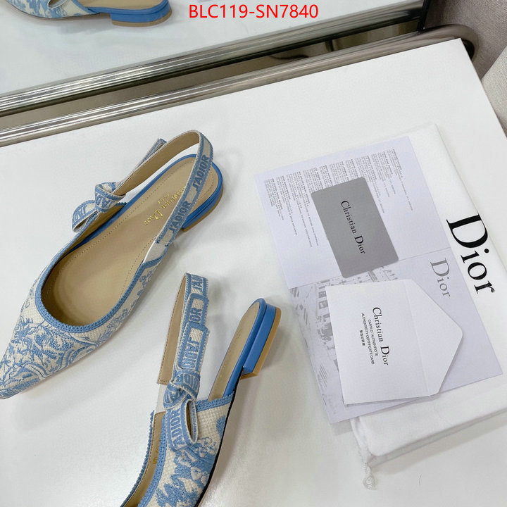 Women Shoes-Dior,replica designer , ID: SN7840,$: 119USD