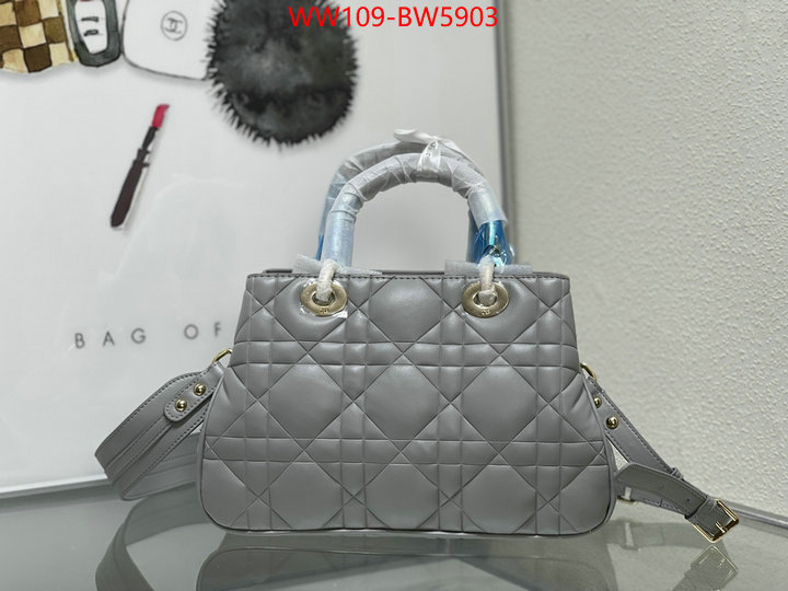 Dior Bags(4A)-Other Style-,ID: BW5903,$: 109USD