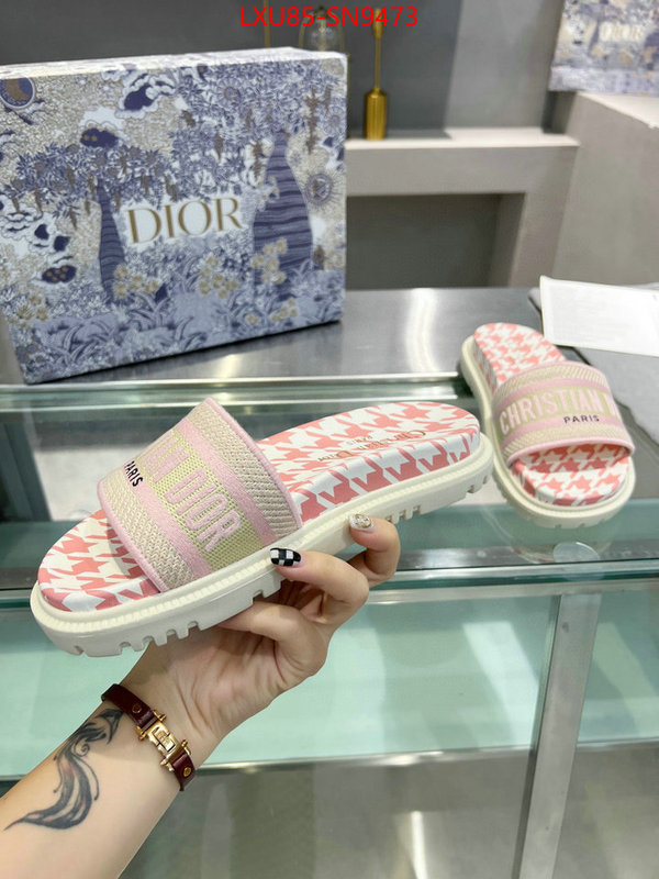 Women Shoes-Dior,sellers online , ID: SN9473,$: 85USD