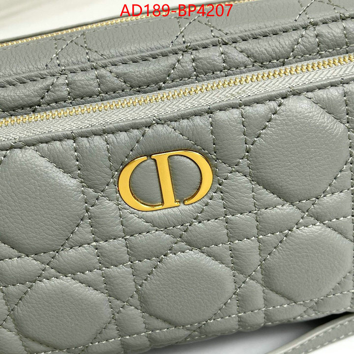 Dior Bags(TOP)-Other Style-,ID: BP4207,$: 189USD