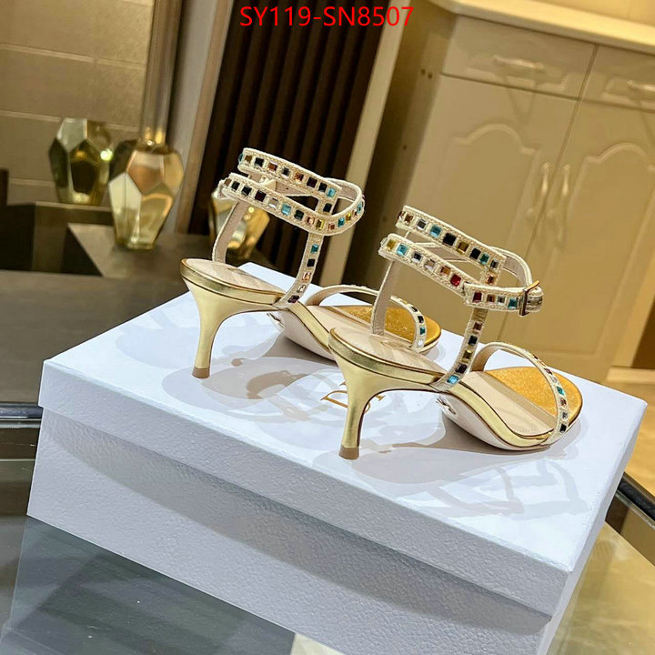 Women Shoes-Dior,new 2023 , ID: SN8507,$: 119USD