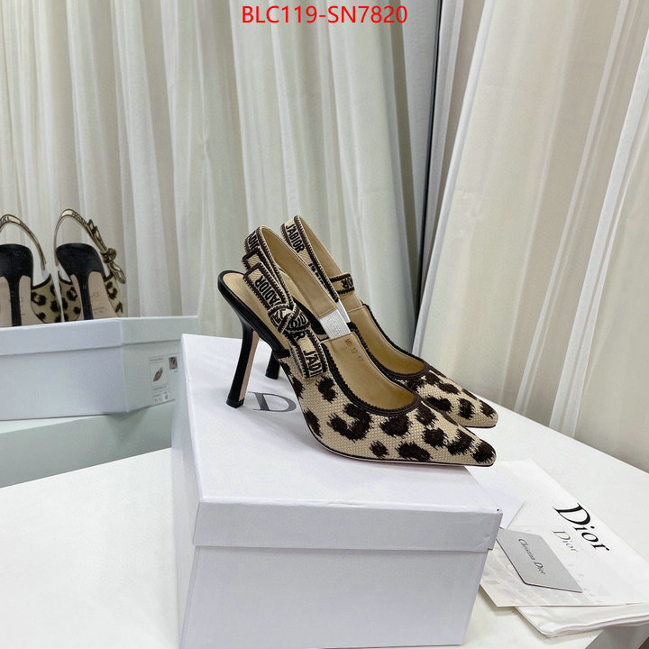 Women Shoes-Dior,1:1 replica , ID: SN7820,$: 119USD